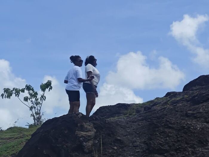 Two travelers taking in a scenic overlook